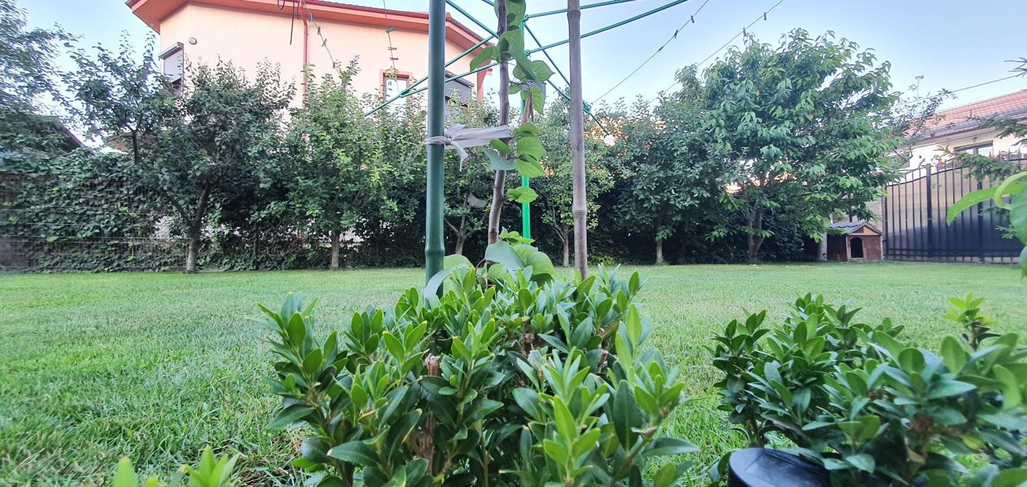 Vila Vasile Năvodari Esterno foto