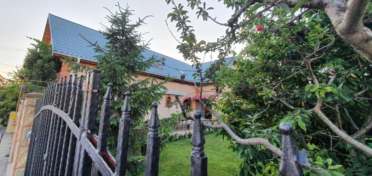 Vila Vasile Năvodari Esterno foto